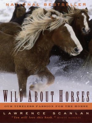 cover image of Wild About Horses